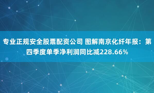 专业正规安全股票配资公司 图解南京化纤年报：第四季度单季净利润同比减228.66%